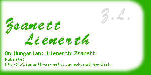 zsanett lienerth business card